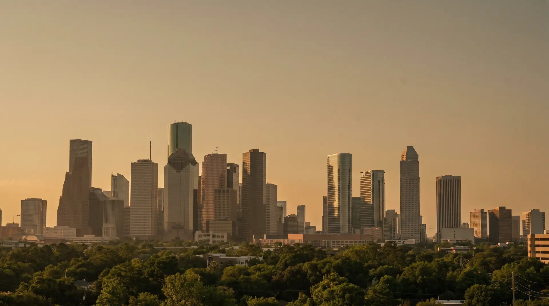 The downtown Houston skyline above the tree canopy